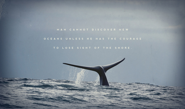 "(365) Days of Tumblr" by Aaron Judd "(365) Days of Tumblr" by Aaron Judd