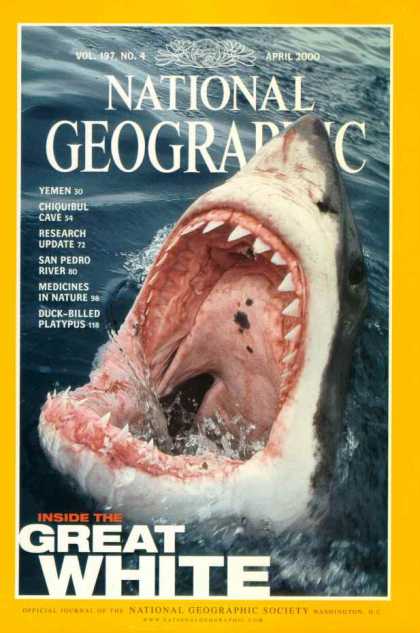National Geographic April 2000 Issue National Geographic April 2000 Issue via YouTheDesigner