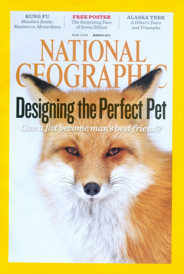 National Geographic March 2011 Issue National Geographic March 2011 Issue via YouTheDesigner