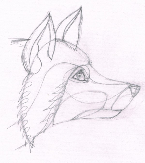 Fox pencil illustration by Ben O'Brien via You The Designer Foxpencil illustration by Ben O'Brien via You The Designer
