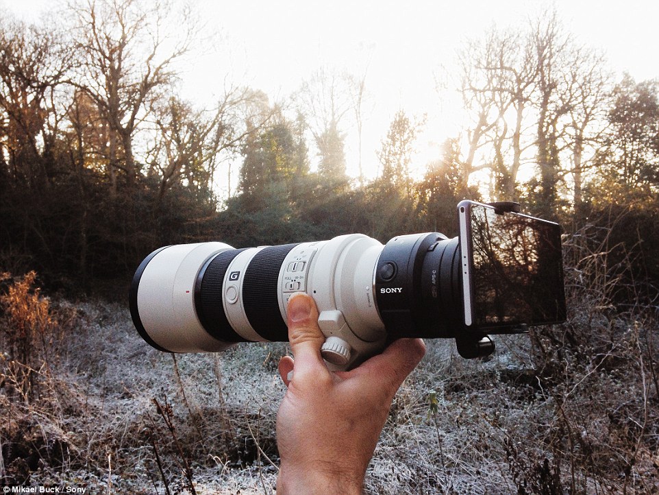Macro-Photographs-Mikael-Buck-003