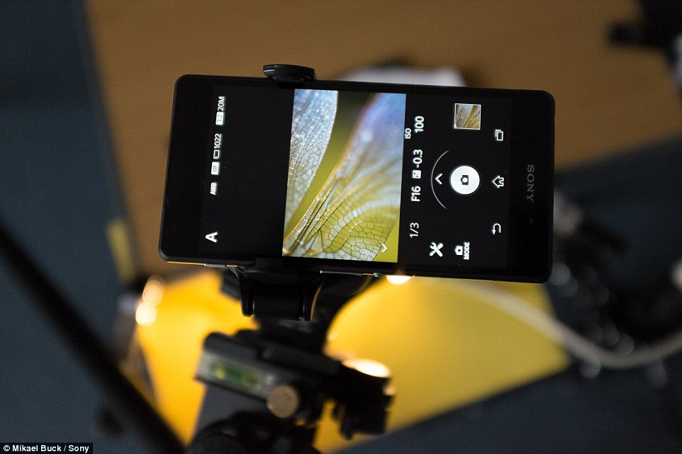 Macro-Photographs-Mikael-Buck-007