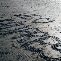 wordpress-blogging.jpg