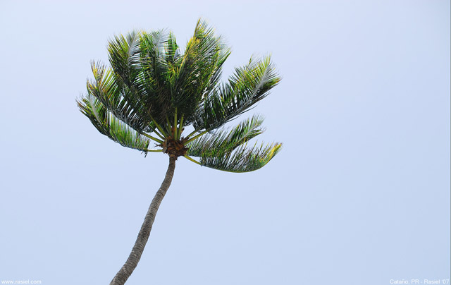 nature-wallpapers-12