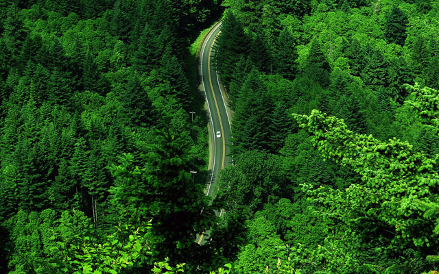 nature-wallpapers-14