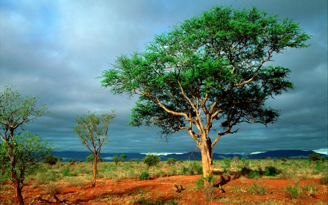 nature-wallpapers-15