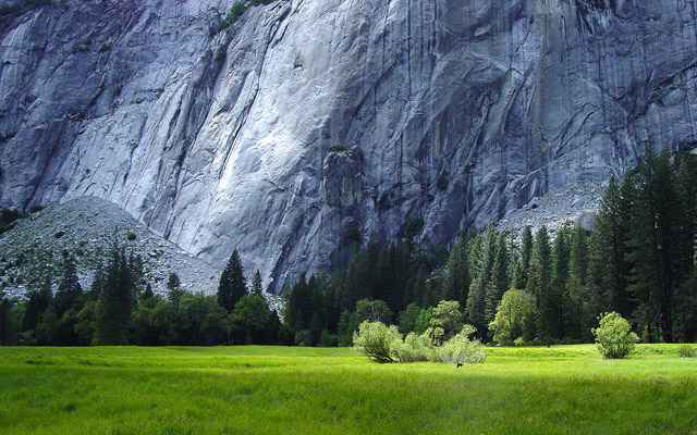 nature-wallpapers-16