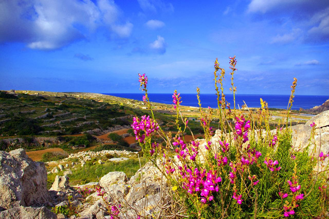 nature-wallpapers-6