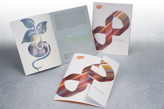 brochure-design-14 brochure-design-14