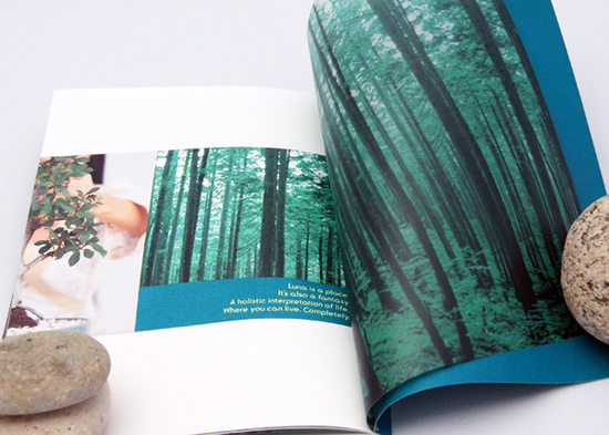 brochure-design-5 brochure-design-5
