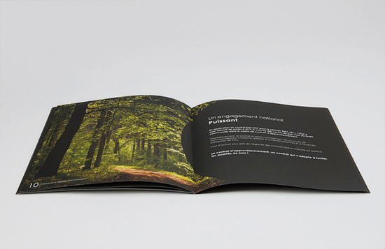 brochure-designs-1 brochure-designs-1