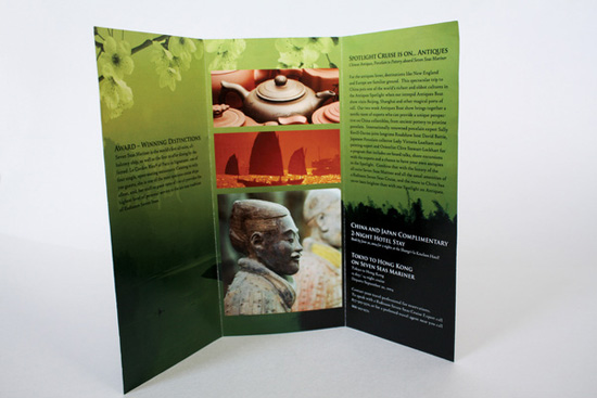 brochure-designs-3 brochure-designs-3