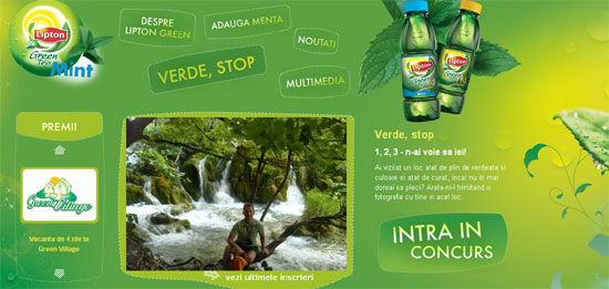 liptongreenmint liptongreenmint