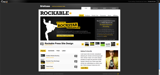 wordpress-portfolio-themes-1 wordpress-portfolio-themes-1
