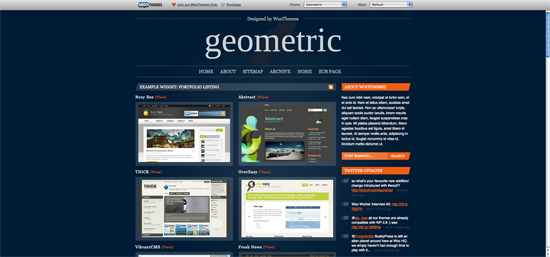wordpress-portfolio-themes-7 wordpress-portfolio-themes-7