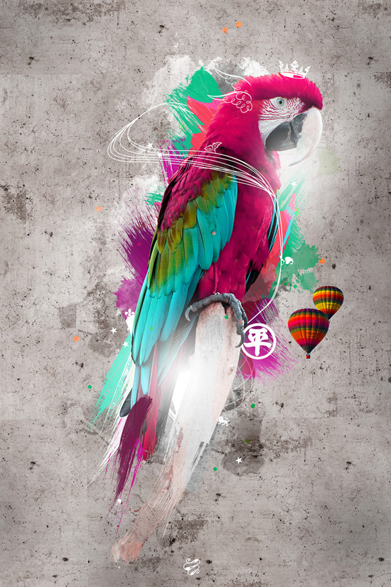 photoshop-examples-28 photoshop-examples-28