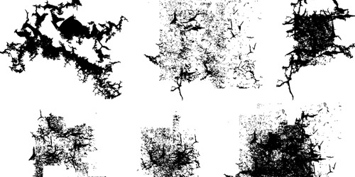 Vector Grunge Elements