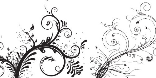 floral ornaments vector pack