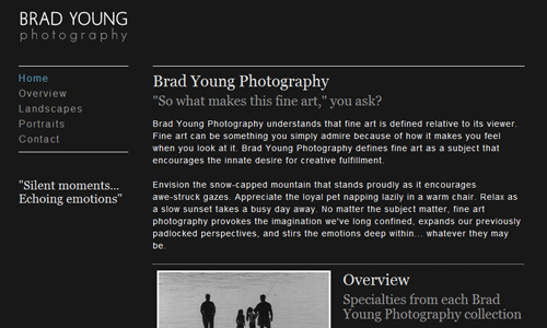 brad young photography