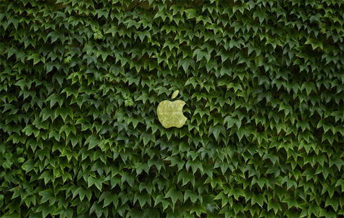 eco apple wallpaper