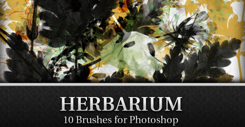 all floral brush