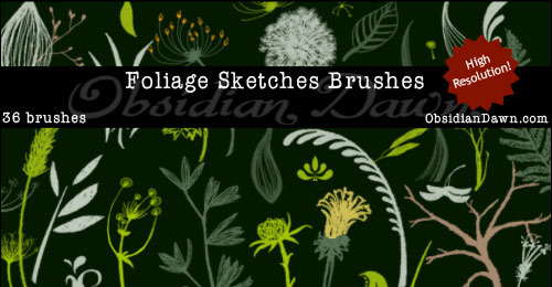 flower sketches