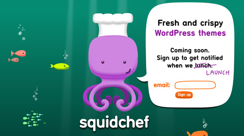 squid chef