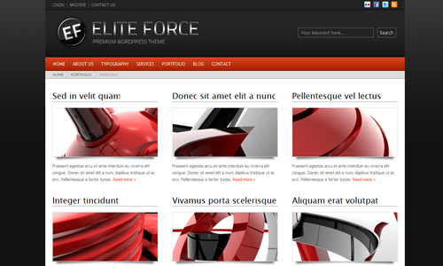 Corporate WordPress Themes - Elite Force