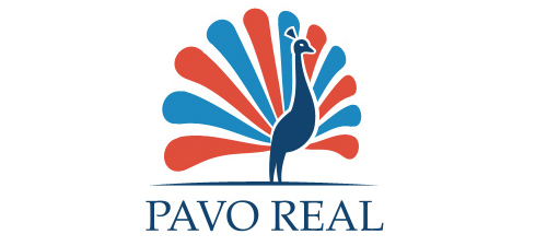 pavo real animal logo design