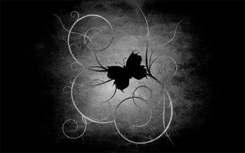 black butterfly
