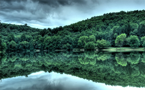 - 40 Free Widescreen Nature-Themed Wallpapers - 40 Free Widescreen Nature-Themed Wallpapers