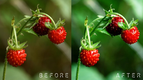 photoShop action 08