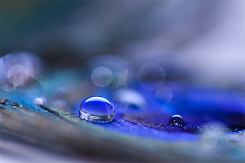 macro