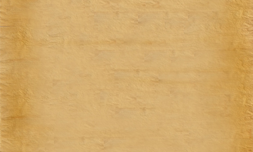 parchment paper