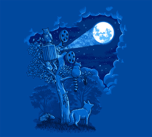 night sky