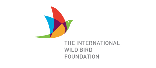 20-tiwi Bird Logos - Tiwi