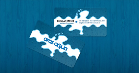 Aras Aqua Business Card