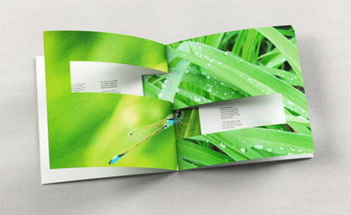 22-shn-mood-booklet Booklet Designs - Shn Mood Booklet