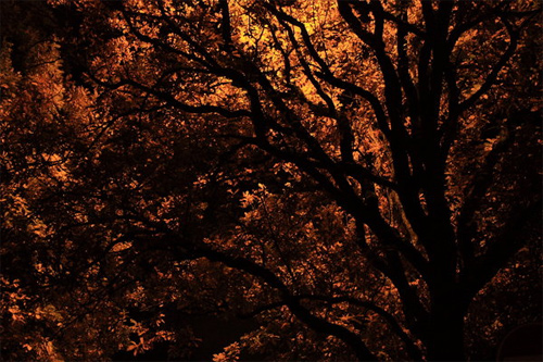 32-halloween-night Halloween Desktop Wallpapers - Halloween Night