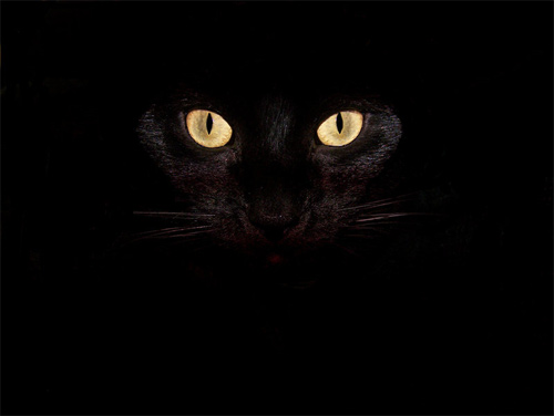 8-oblivion-wallpaper Halloween Desktop Wallpapers - Oblivion Wallpaper