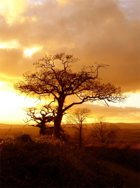 15-Landscape Silhouette Photos - Landscape