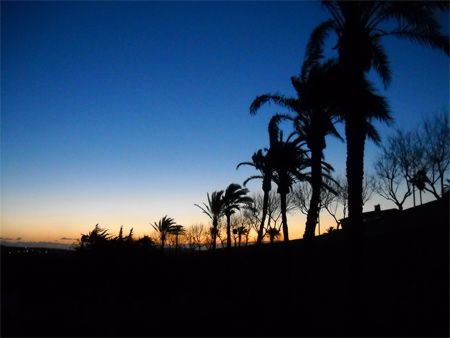 19-Golden-Sunrise Silhouette Photos - Golden Sunrise