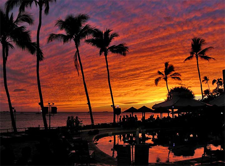 25-Paradise Silhouette Photos - Paradise