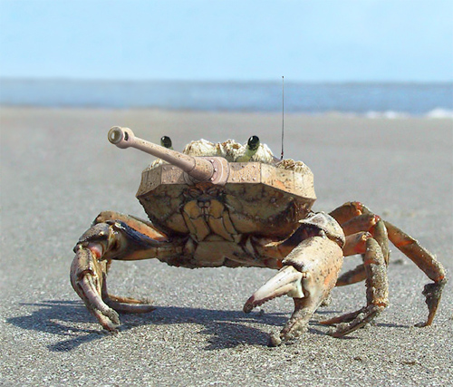 Tank Crab