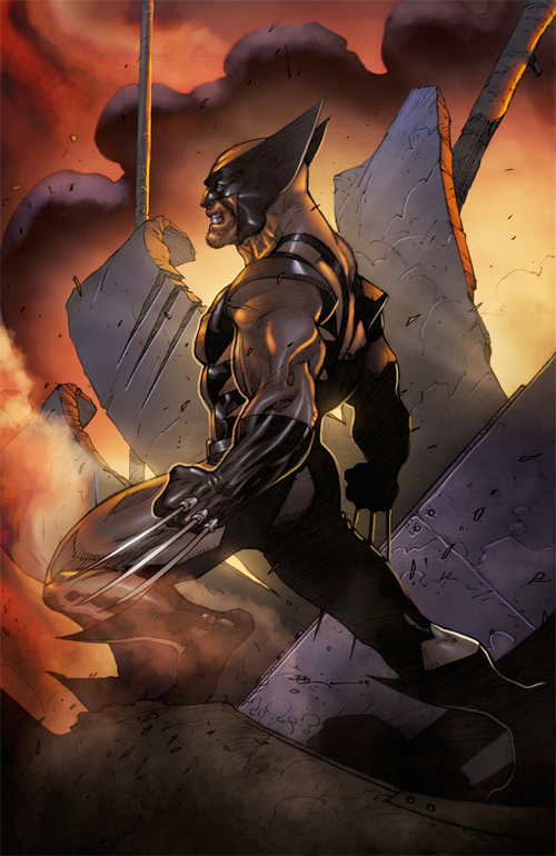 Wolverine by Ryan
