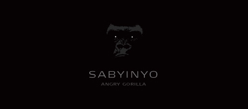 Sabyinyo
