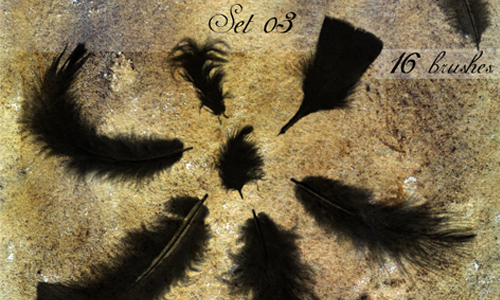 Feather brushes - set 03