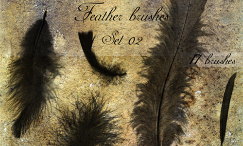 Feather brushes - set 02
