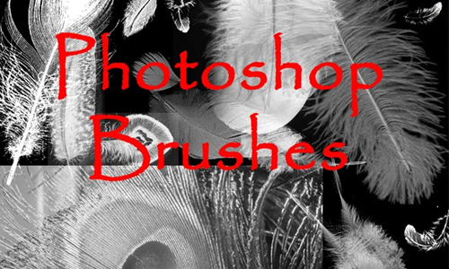 Photoshop FEATHER Brushes