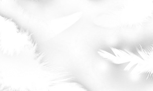 Feather Brush
